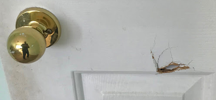 interior door hole repair Temple City